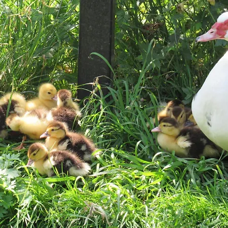 Klausmoarhof * Leisach