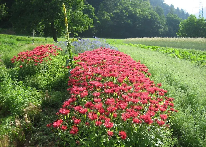 مزرعة للإقامة Klausmoarhof *